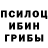Псилоцибиновые грибы Cubensis SKOkirill