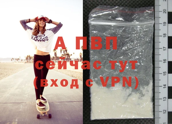 apvp Бородино