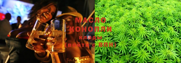 apvp Бородино