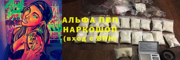 apvp Бородино