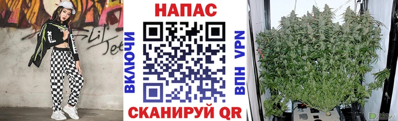 hydra маркетплейс  цены   Еманжелинск  Конопля AK-47 